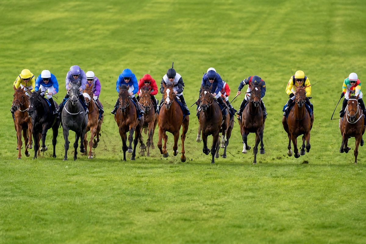 Betfair Exchange vs Sportsbook: The 2026 Comparison Guide