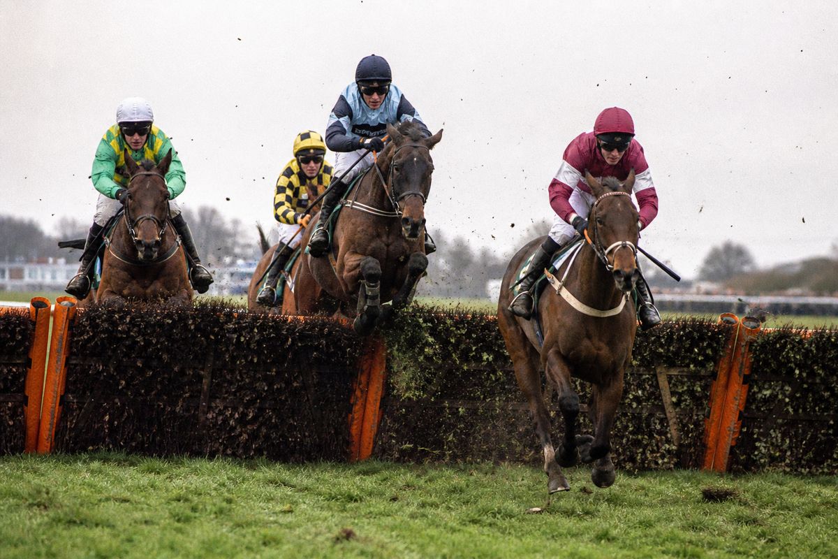 Jockeys racing horses at Aintree Grand National course