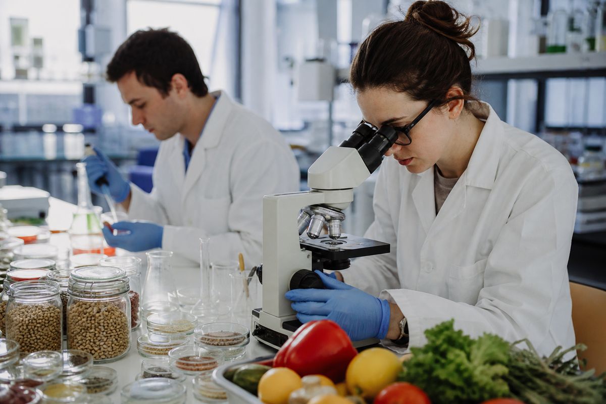 Scientists examining samples in a modern nutrition lab